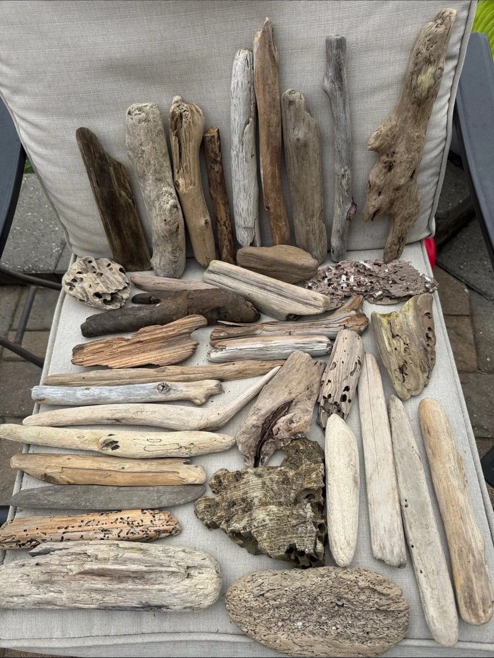 35 pcs (5lbs shipped) Natural Driftwood Pieces for decor, arts, crafts, projects